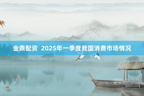 金鼎配资  2025年一季度我国消费市场情况
