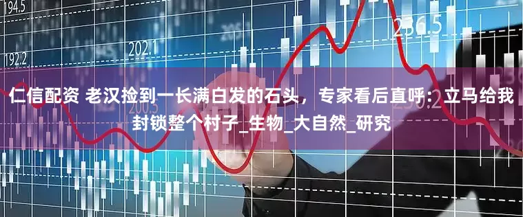仁信配资 老汉捡到一长满白发的石头，专家看后直呼：立马给我封锁整个村子_生物_大自然_研究