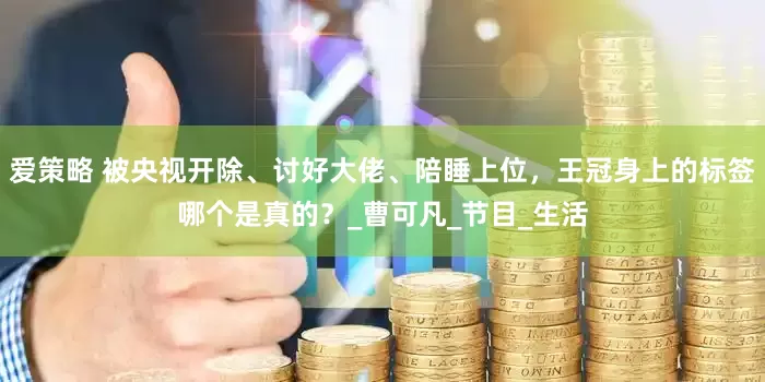 爱策略 被央视开除、讨好大佬、陪睡上位，王冠身上的标签哪个是真的？_曹可凡_节目_生活
